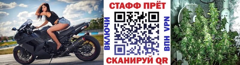 Наркотические вещества Александров мега как зайти  Каннабис  СОЛЬ  Гашиш  Меф  Codein  Амфетамин  Cocaine  ГЕРОИН  Галлюциногенные грибы 