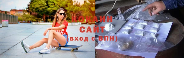 шишки Нея
