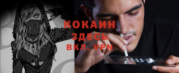 шишки Нея