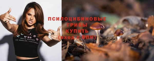 шишки Нея