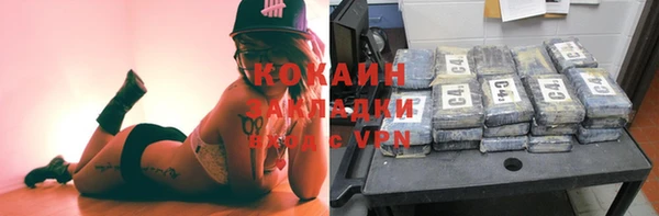 шишки Нея