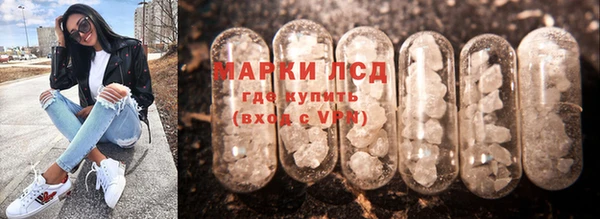 шишки Нея