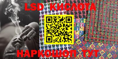 прущие грибы Абакан