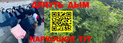 ПСИЛОЦИБИНОВЫЕ ГРИБЫ Азнакаево