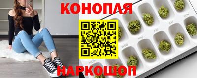 твердый Гай