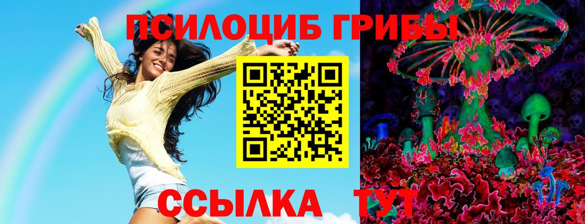Галлюциногенные грибы ЛСД  магазин    Александров 