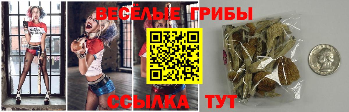 Галлюциногенные грибы прущие грибы Александров