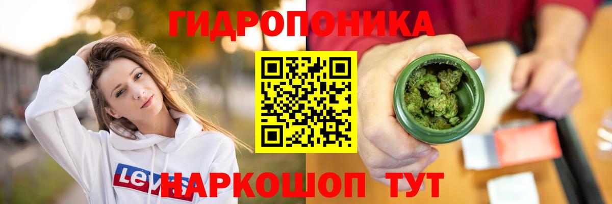 МАРИХУАНА сатива Александров